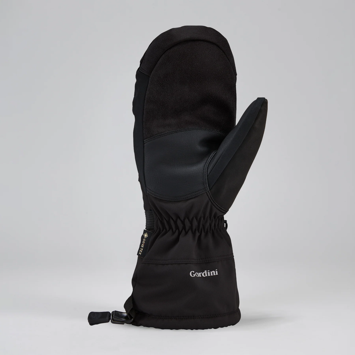 GORDINI MENS DA GOOSE GORE-TEX DOWN MITTEN 26