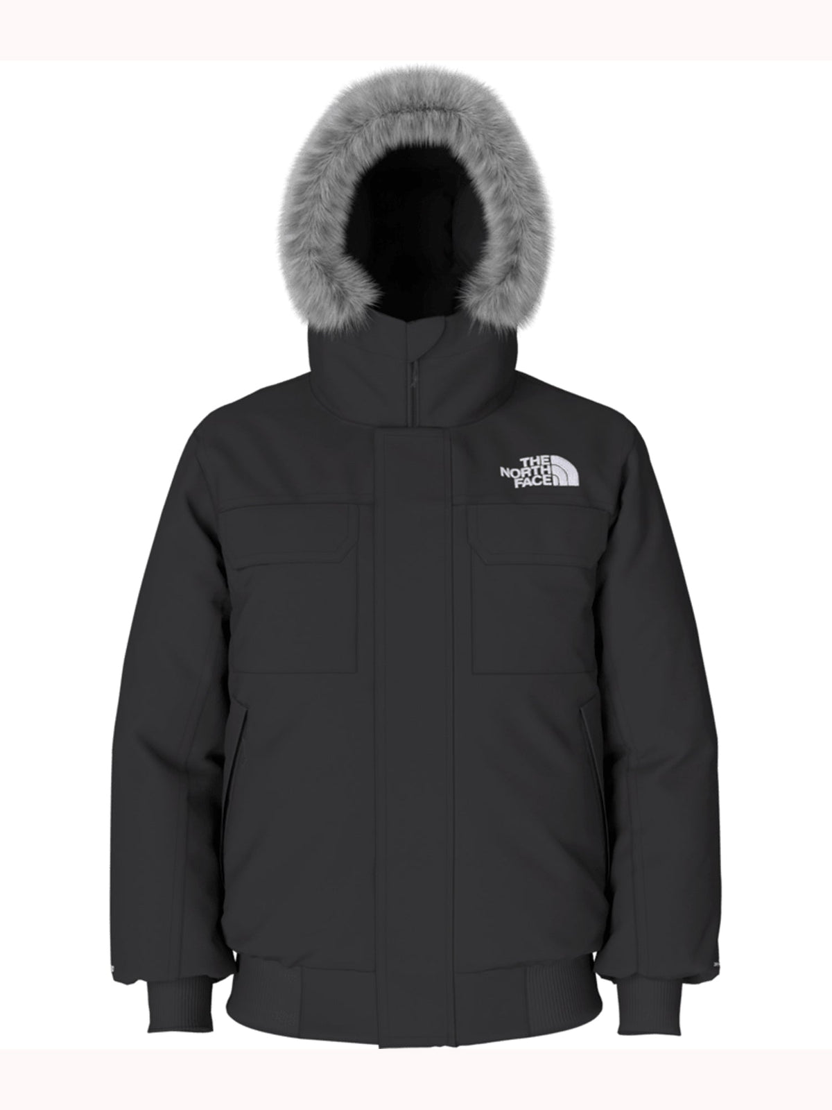 THE NORTH FACE MENS MCMURDO BOMBER JACKET