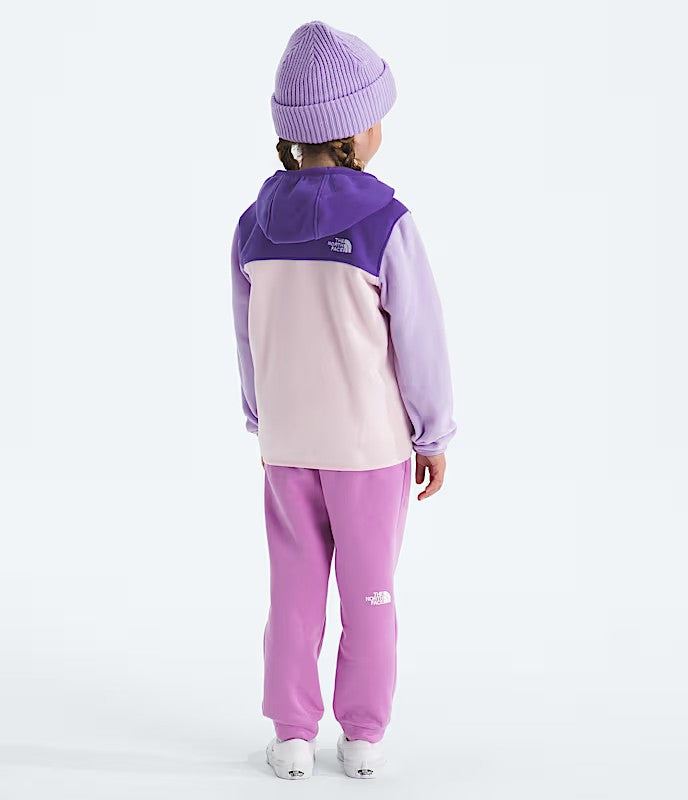 THE NORTH FACE YOUTH GLACIER FULL ZIP HOODIE 26