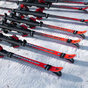 Alpine Ski Straps