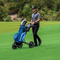 Bags & Carts