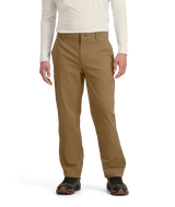 THE NORTH FACE MENS BETA UTILITY PANT 25
