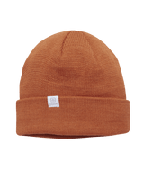 COAL UNISEX THE FLT WINTER HAT