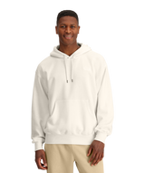 THE NORTH FACE MENS EVOLUTION VINTAGE HOODIE 25