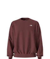 THE NORTH FACE MENS EVOLUTION SIMPLE DOME OVERSIZED CREW SWEATER