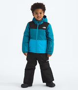 THE NORTH FACE YOUTH FREEDOM INSULATED WINTER JACKET 26