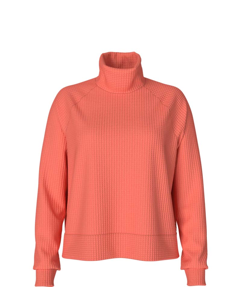THE NORTH FACE WOMENS MOCK NECK CHABOT SWEATER
