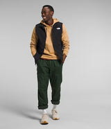 THE NORTH FACE MENS APEX BIONIC 3 VEST
