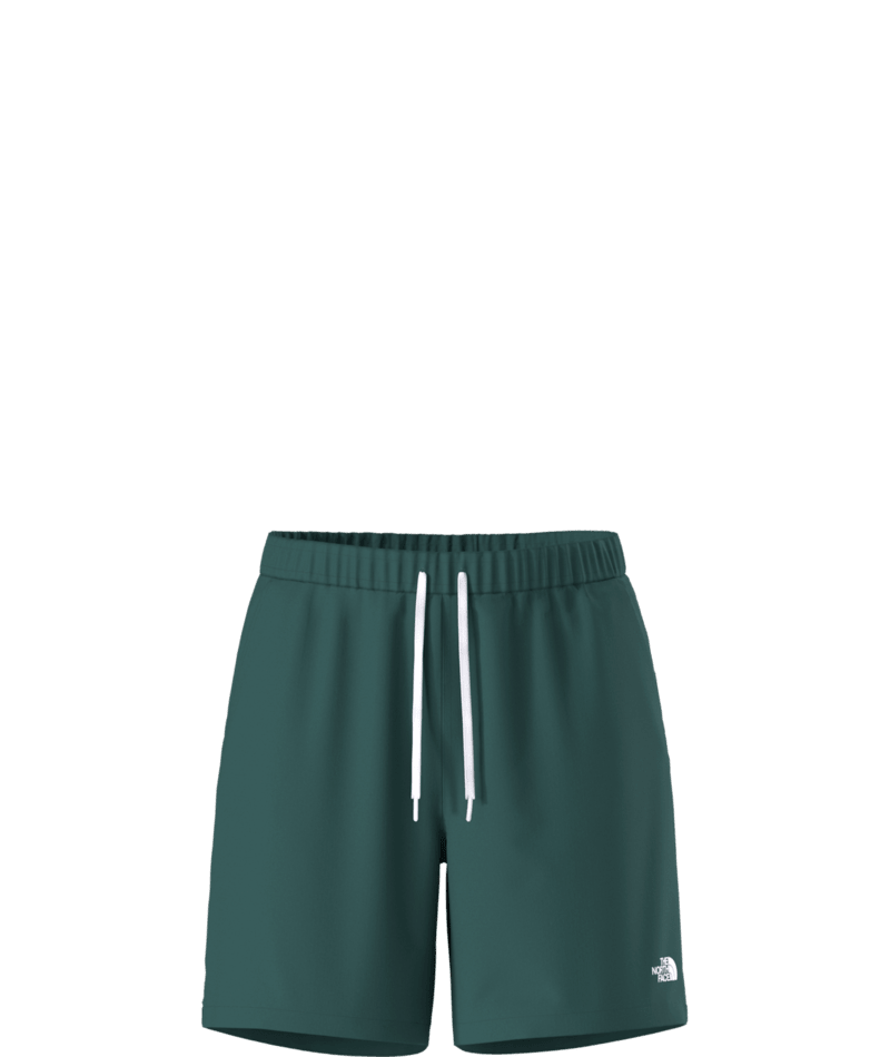 THE NORTH FACE MENS ACTION 2.0 SHORT