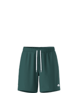 THE NORTH FACE MENS ACTION 2.0 SHORT
