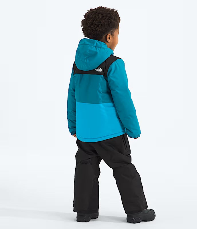 THE NORTH FACE YOUTH FREEDOM INSULATED WINTER JACKET 26