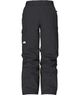 THE NORTH FACE MENS FREEDOM SNOW PANT