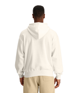 THE NORTH FACE MENS EVOLUTION VINTAGE HOODIE 25